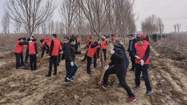 栽下樹苗，留下新綠